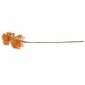 Floristik24 Dekozweig Künstlicher Zweig Herbstdeko 2 Blütenstände Orange 82cm