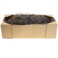 Floristik24 Dekozweige Bonsai Holz Deko Zweige 15-30cm 650g