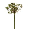 Floristik24 Dill künstlich Grün 76cm