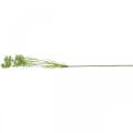 Dill blühend, Kunstpflanze, künstliche Kräuter Grün, Weiß L80cm