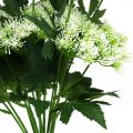 Dill blühend, Künstliche Kräuter, Dekopflanze Grün, Weiß 49cm 9St
