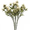 Floristik24 Distel künstlich Deko-Zweig Creme 10 Blütenköpfe 68cm 3St