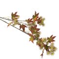 Künstlicher Amberbaumzweig 132 cm mit Laub und Fruchtständen | Floristik24.at