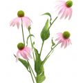 Floristik24 Echinacea Blüte künstlich Hellrosa 90cm