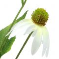 Floristik24 Echinacea Blüte künstlich Weiß 90cm