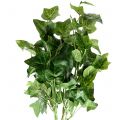 Floristik24 Efeu künstlich Grün 50cm Künstliche Pflanze wie echt !