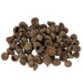 Floristik24 Eichelkappen natur 2cm braun 300g Dekoration Herbst Advent