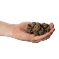 Eichelkappen natur 2cm braun 300g Dekoration Herbst Advent | Floristik24.at