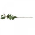 Floristik24 Künstlicher Deko Zweig Eukalyptus mit Knospen Kunstpflanze 60cm
