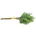 Floristik24 Eukalyptus Zweig künstlich Grün 37cm 6St