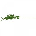 Floristik24 Eukalyptus künstlich Zweig grün 3-fach verzweigt L100cm