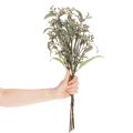 Künstlicher Eukalyptuszweig 53cm Grün 3er Set für Dekoration | Floristik24.at