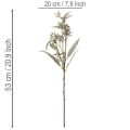 Künstlicher Eukalyptuszweig 53cm Grün 3er Set für Dekoration | Floristik24.at