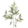 Floristik24 Künstlicher Eukalyptuszweig aus Kunststoff naturgrün 100cm für Innenbereich