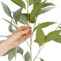 Künstlicher Eukalyptuszweig aus Kunststoff naturgrün 100cm für Innenbereich | Floristik24.at