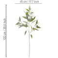 Künstlicher Eukalyptuszweig aus Kunststoff naturgrün 100cm für Innenbereich | Floristik24.at