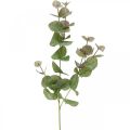 Floristik24 Künstlicher Eukalyptus Zweig Deko Grünpflanze Grün, Rosa 75cm