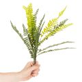 Künstlicher Farnzweig aus Kunststoff 45 cm grün für Dekoration | Floristik24.at