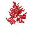 Floristik24 Farnzweige konserviert gefärbt rot 42cm 10 Stück für Herbstdeko