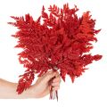 Farnzweige konserviert gefärbt rot 42cm 10 Stück für Herbstdeko | Floristik24.at