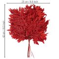 Farnzweige konserviert gefärbt rot 42cm 10 Stück für Herbstdeko | Floristik24.at