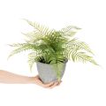 Künstlicher Farn im Pflanztopf Grün 35cm für Innenräume | Floristik24.at
