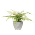 Künstlicher Farn im Pflanztopf Grün 35cm für Innenräume | Floristik24.at