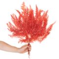 Konservierter Farn Rot 60 cm 10 Stück für Trockenblumen-Deko | Floristik24.at