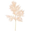 Floristik24 Trockendeko Farn Naturmaterial Rosa 42cm 10 Stück für Innenbereich