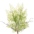 Floristik24 Künstlicher Ruscus Zweig grün aus Kunststoff 41cm für Wohnraumdeko