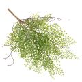 Künstlicher Ruscus Zweig grün
