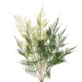 Floristik24 Künstlicher Farnzweig aus Kunststoff 56cm Grün für Dekoration