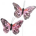 Floristik24 Schmetterling am Draht Rosa 11cm 12St