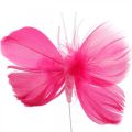 Floristik24 Federschmetterlinge Rosa/Pink/Rot, Deko-Schmetterlinge am Draht 6St