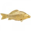 Floristik24 Deko Fisch Goldfarben, Statue zum Hinstellen, Fischskulptur Polyresin Klein L18cm