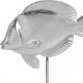 Floristik24 Fisch zum Stellen, Maritime Deko, Dekofisch aus Metall Silbern, Naturfarben H23cm