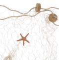 Floristik24 Fischernetz mit Meeresdeko Natur Polyresin 150×200cm als Wanddeko