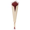 Flachs Bordeaux Rot Trockendeko Trockenblumen L55cm 80g | Floristik24.at