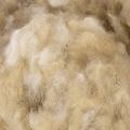 Beige Schafwolle lose 250g für Basteln und Dekorieren | Floristik24.at