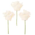 Künstliche Rose cremefarben 10 cm mit Drahtstiel 100 Stück | Floristik24.at