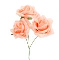 Floristik24 Foam Rose Ø 6cm Lachsrosa 27St