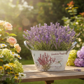 Blumenschale oval Metall mit Griffen Lavendelmotiv 32×15×15cm Weiß | Floristik24.at