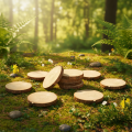 Mini Baumscheiben Holz Natur 8-9cm mit Rinde 9 Stück | Floristik24.at