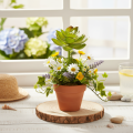 Künstliche Sukkulente grün, Kunststoff, 9 cm Höhe | Floristik24.at