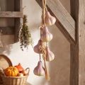 Künstliche Knoblauch-Dekoration zum Hängen aus Kunststoff 50cm Gelb-Lila | Floristik24.at