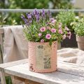 Blumentopf aus Metall Ø11cm H10,5cm in Lachs mit Vintage-Druck | Floristik24.at