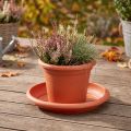 Untersetzer Kunststoff Ø30cm Terrakotta | Floristik24.at