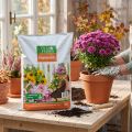Villa Flora Blumenerde mit Naturton und Langzeitdünger 10l für Zimmer- und Balkonpflanzen | Floristik24.at