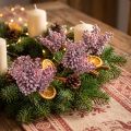 Geeister Beerenpick Rot 21 cm aus Kunststoff und Styropor, 12 Stück | Floristik24.at