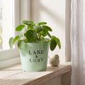 Blumentopf aus Metall Ø17cm Mintgrün Übertopf Landhausstil H15,5cm | Floristik24.at